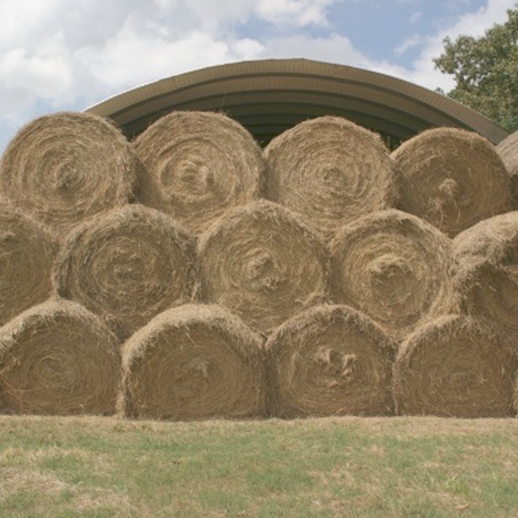 Bartow County farmer wins GFB Hay Contest